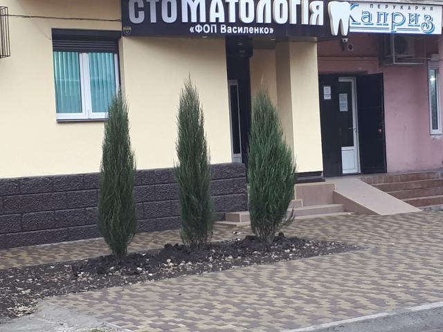Стоматологический кабинет "Ф.О.П. Василенко"