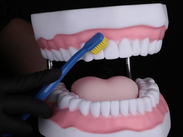 Sydorova Dental Clinic SDC Сидорова