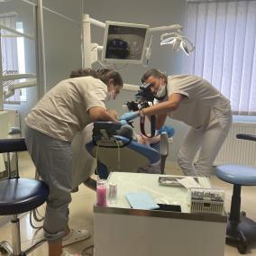 Dental Service photo