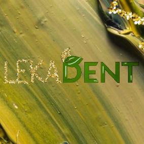 LekaDent