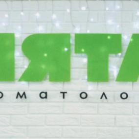 М'ята photo