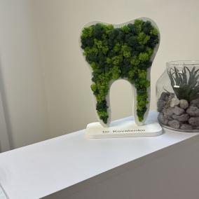 Medical center DentalDerma by dr.Kovalenko photo