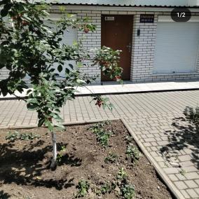 Стоматологічний кабінет photo