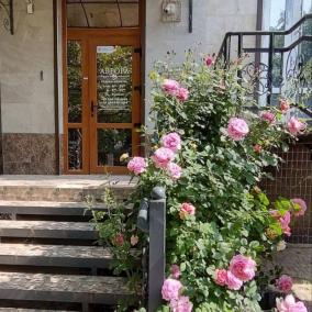 Стоматологія "ArtSmile" photo