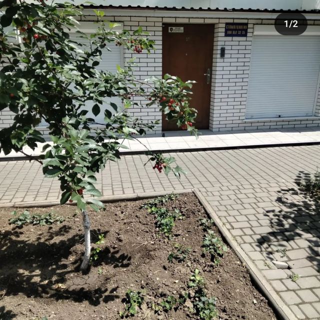 Стоматологічний кабінет photo