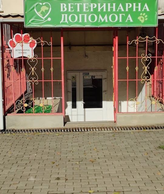 Ветеринарна допомога photo