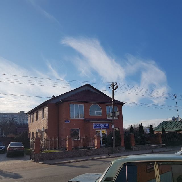 Віол Дента photo