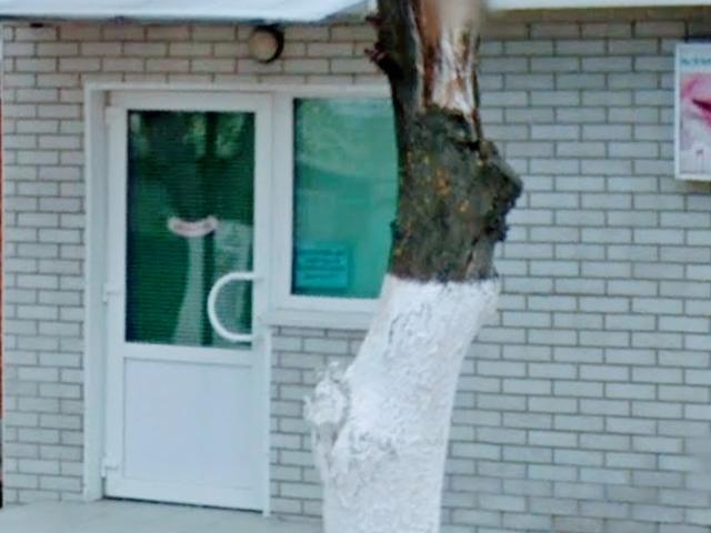СтоматологіЯ