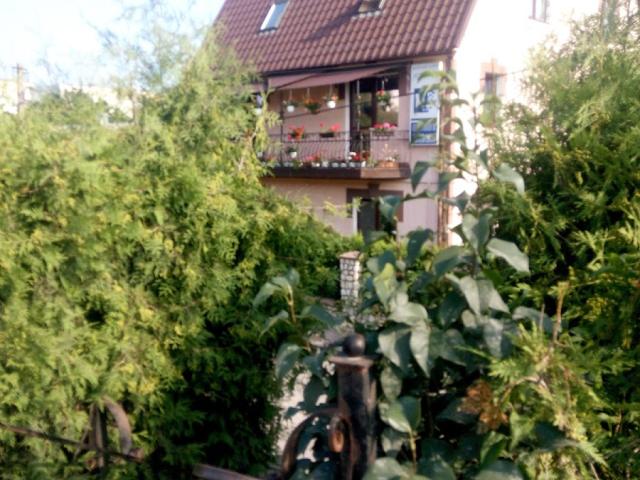 Стоматологія Жаловських