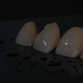 ShavshynClinic
