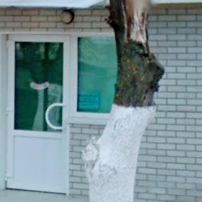 СтоматологіЯ