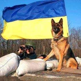 Стоматологическая поликлиника