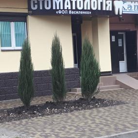 Стоматологический кабинет "Ф.О.П. Василенко"