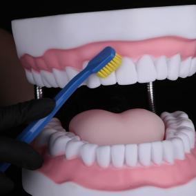 Sydorova Dental Clinic SDC Сидорова