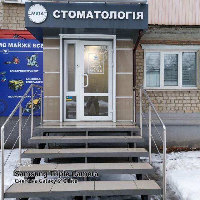 Мята