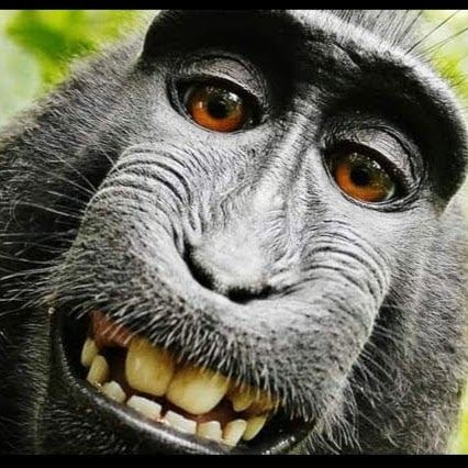 Ok.Smile