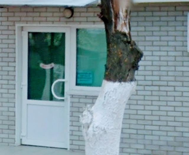 СтоматологіЯ