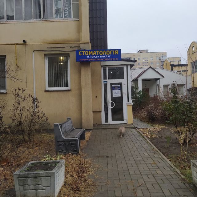 Стоматология